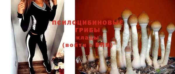 шишки Армянск