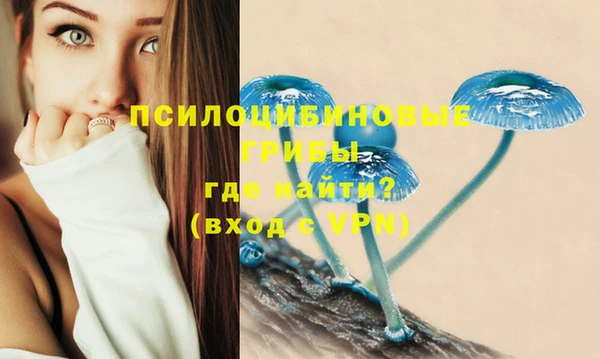 трава Новозыбков