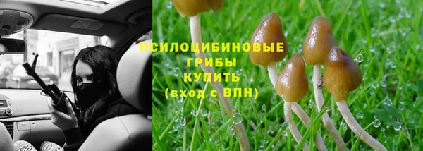 круглые Новодвинск