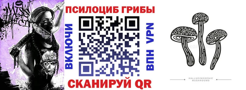 сколько стоит  Покров  Псилоцибиновые грибы GOLDEN TEACHER 